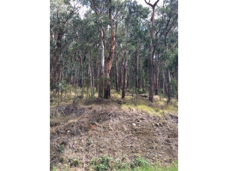 750 Don Road, Healesville VIC 3777