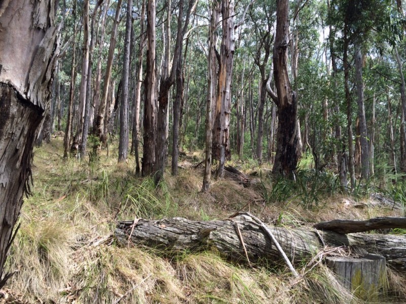 750 Don Road, Healesville VIC 3777