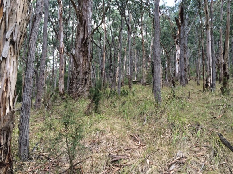 750 Don Road, Healesville VIC 3777