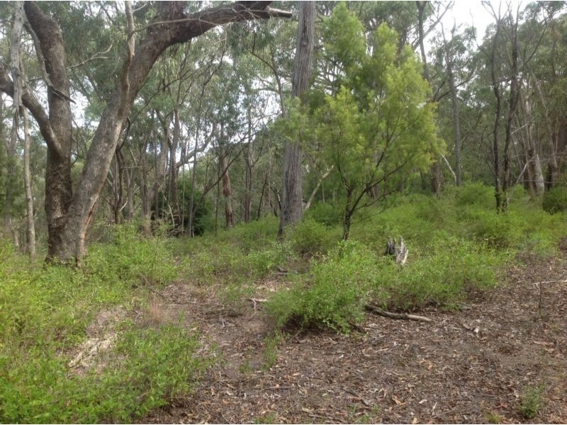 45 Dingley Dell Road, Healesville VIC 3777