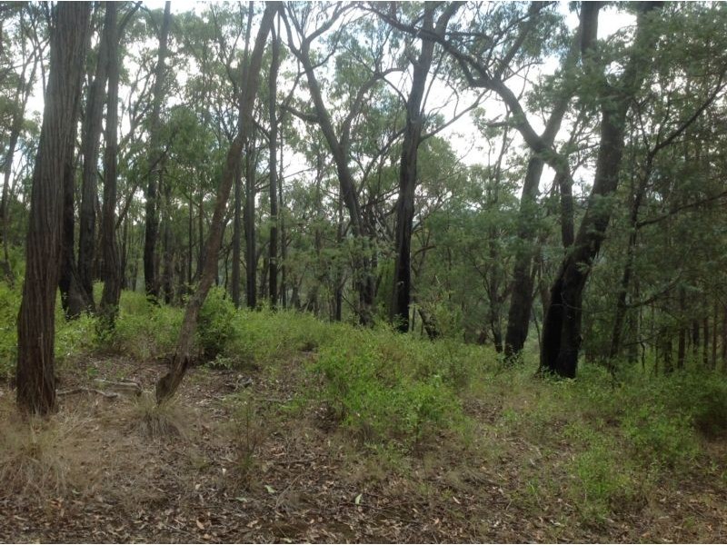 45 Dingley Dell Road, Healesville VIC 3777