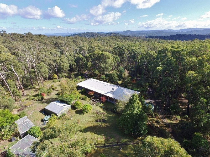 49 Romeo Road, Healesville VIC 3777