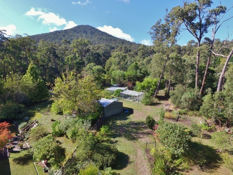 49 Romeo Road, Healesville VIC 3777