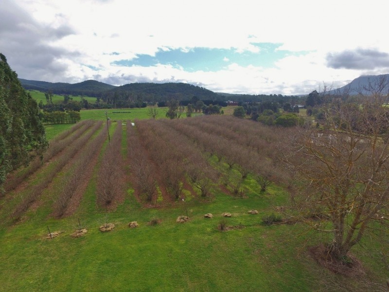 2099 Maroondah Highway, Buxton VIC 3711