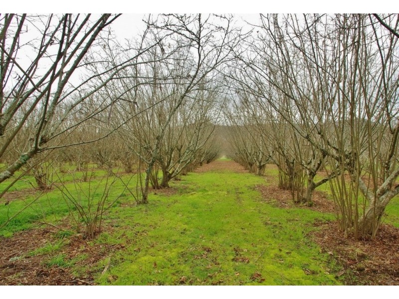 2099 Maroondah Highway, Buxton VIC 3711