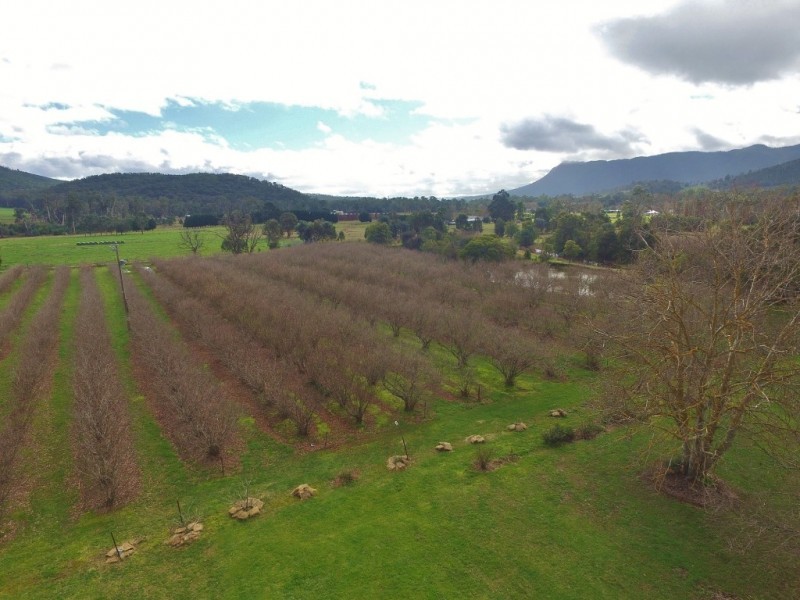 2099 Maroondah Highway, Buxton VIC 3711