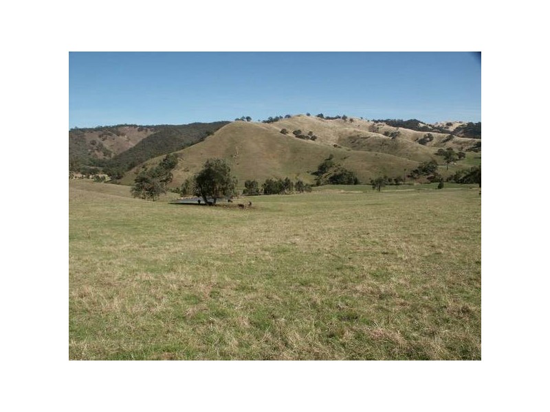 545 Ti Tree Creek Road, Yea VIC 3717