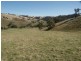 545 Ti Tree Creek Road, Yea VIC 3717