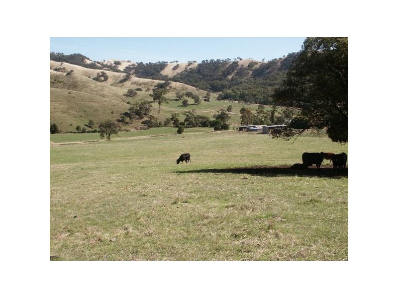 545 Ti Tree Creek Road, Yea VIC 3717
