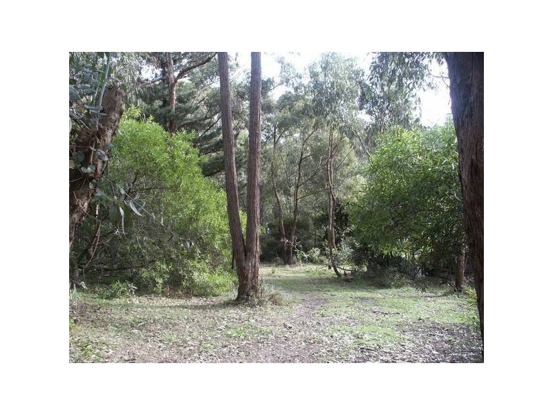55 Mt Riddell Road, Healesville VIC 3777
