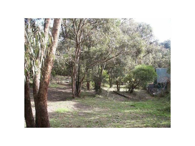 55 Mt Riddell Road, Healesville VIC 3777