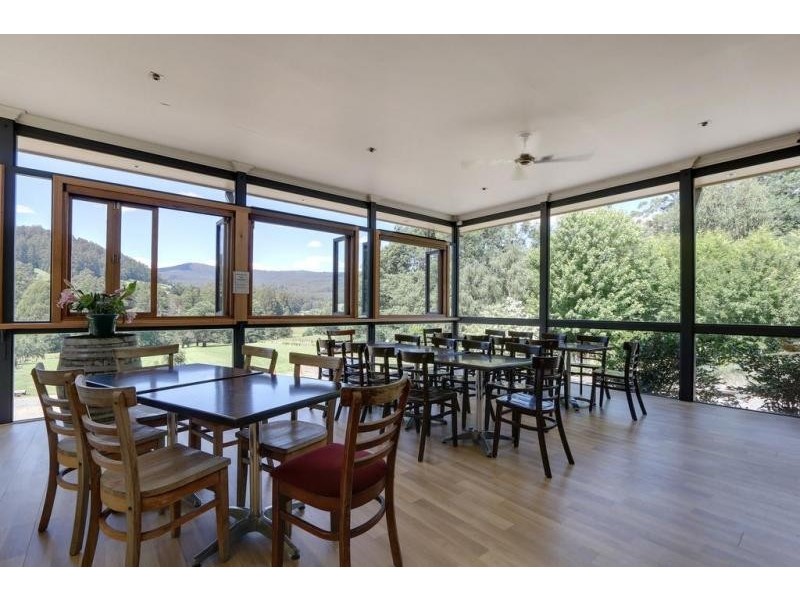 1390 Myers Creek Road, Toolangi VIC 3777