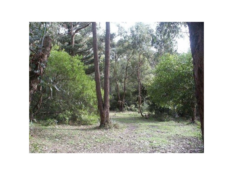 55 Mt. Riddell Road, Healesville VIC 3777