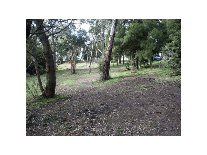 55 Mt. Riddell Road, Healesville VIC 3777