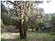 55 Mt. Riddell Road, Healesville VIC 3777