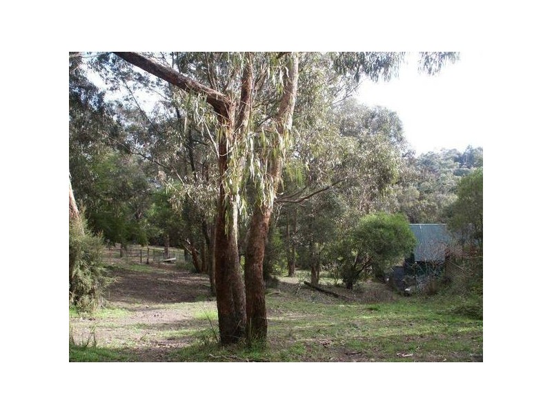 55 Mt. Riddell Road, Healesville VIC 3777