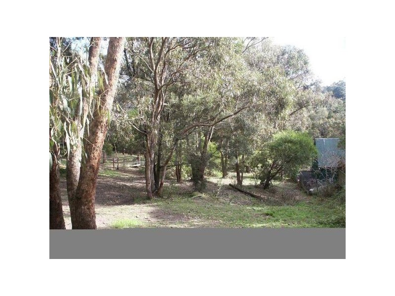 55 Mt. Riddell Road, Healesville VIC 3777