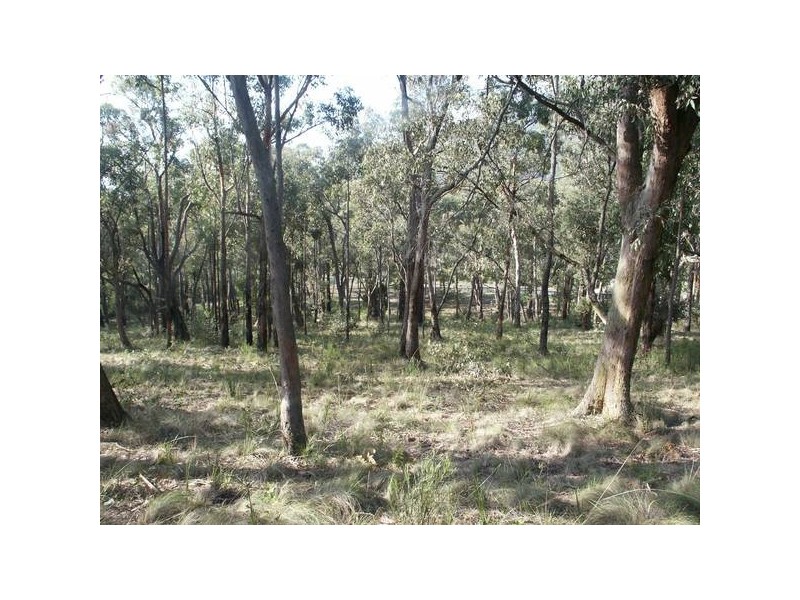 Romeo Road, Healesville VIC 3777