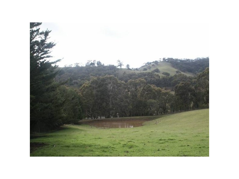 3772 Whttlesea-Yea Road, Flowerdale VIC 3717