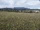 3 Ayres Road, Healesville VIC 3777