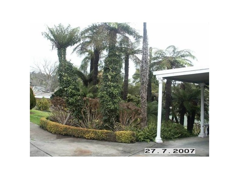 Symons Street, Healesville VIC 3777