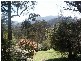 503 Maroondah Highway, Healesville VIC 3777