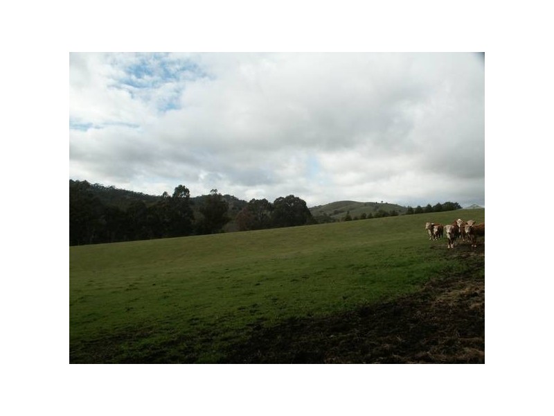 3772 Whittlesea-yea Road, Flowerdale VIC 3717
