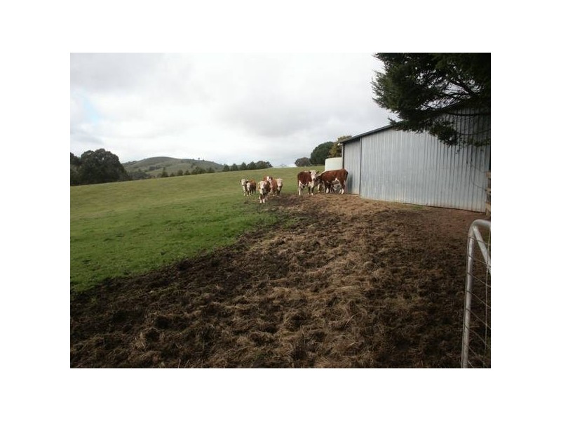 3772 Whittlesea-yea Road, Flowerdale VIC 3717