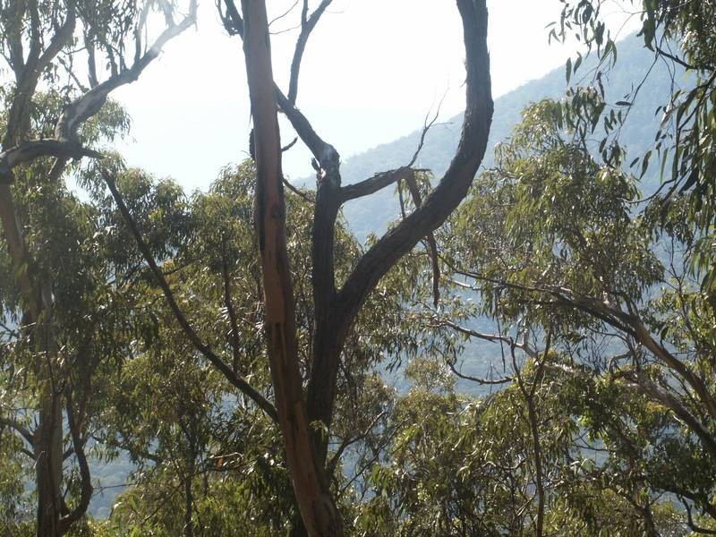 750 Don Road, Healesville VIC 3777