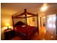 115 Shearwater Drive, Lake Heights NSW 2502