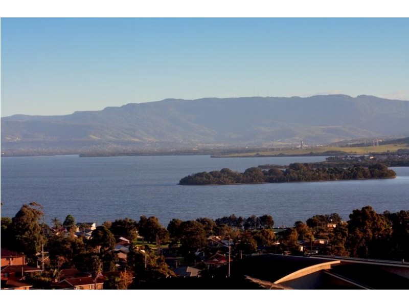 115 Shearwater Drive, Lake Heights NSW 2502