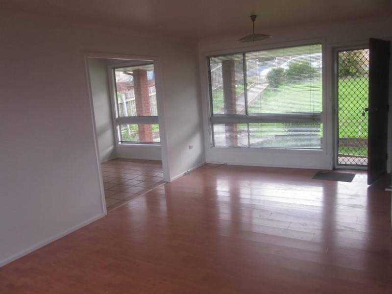 41 Lake Ave, Cringila NSW 2502