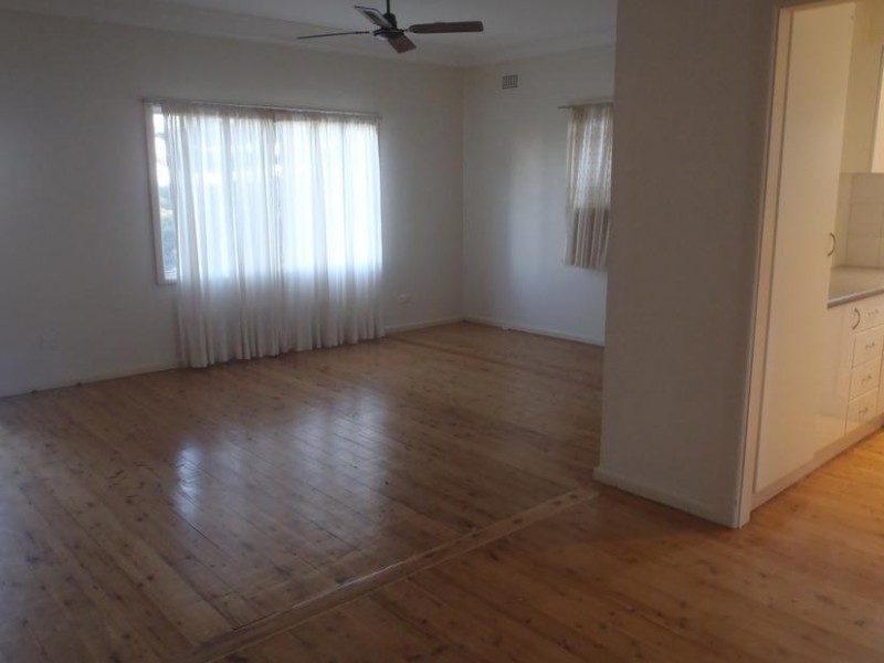 58 Denise Street, Lake Heights NSW 2502