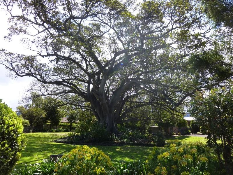 16/12-22 Gibsons Rd, Figtree NSW 2525