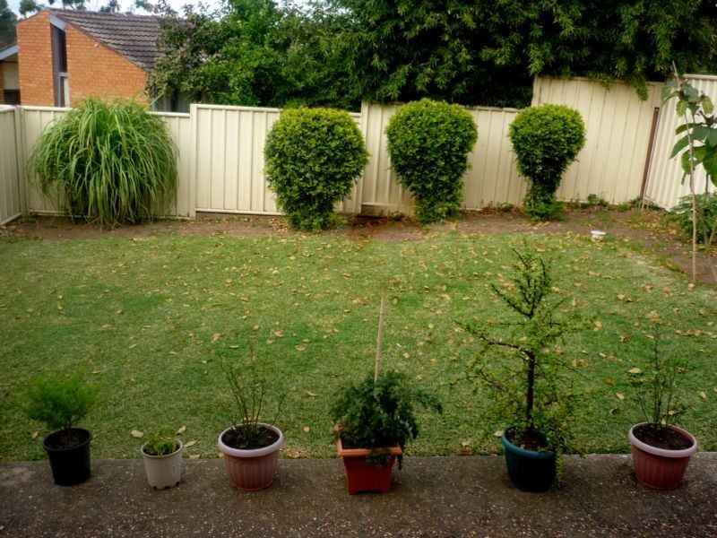 2/51 Waples Road, Farmborough Heights NSW 2526