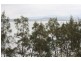 137 Northcliffe Dr, Lake Heights NSW 2502