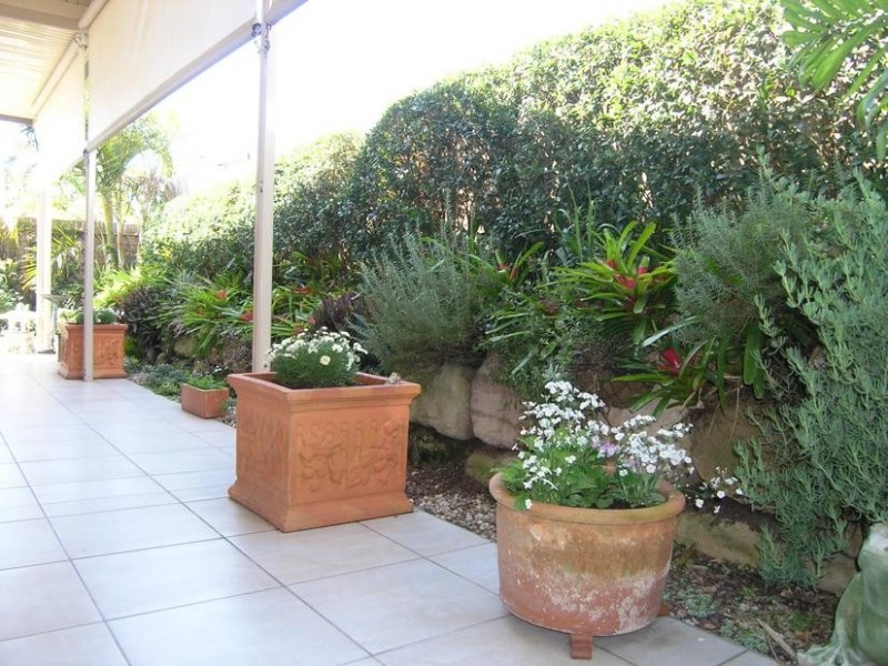 1/104 Kate Street (Cnr Kate & Johnston Street ), Carina QLD 4152