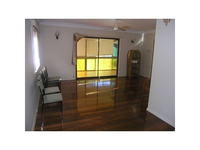 Elgar Street, Holland Park QLD 4121