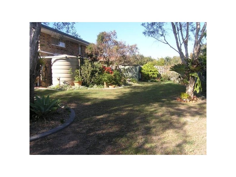 Caladium Street, Wakerley QLD 4154