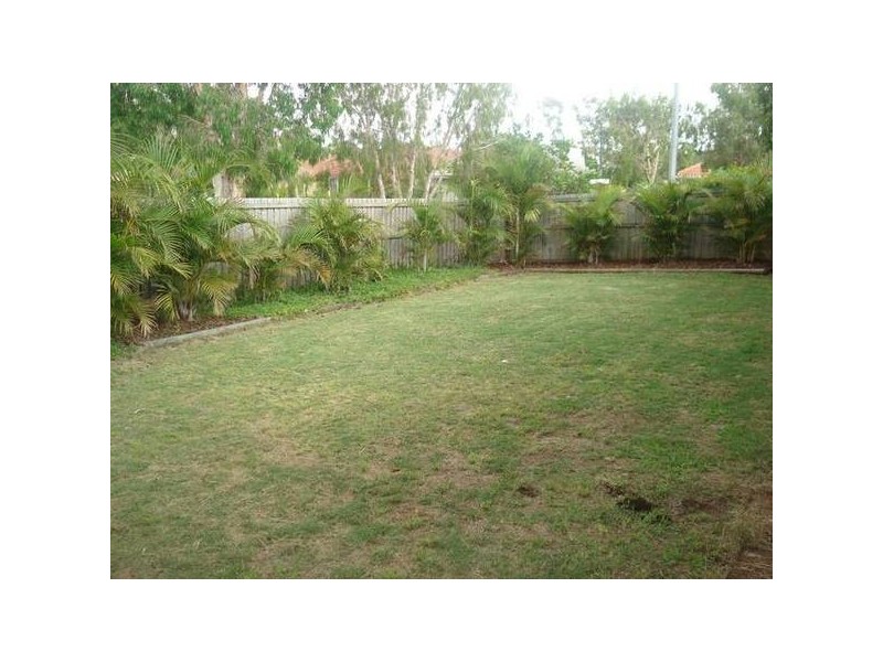 Tingalpa QLD 4173