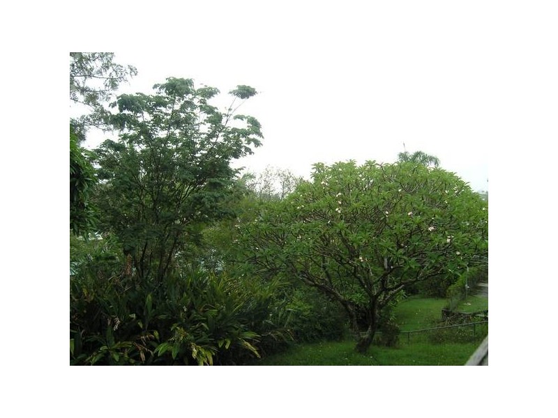 Morningside QLD 4170