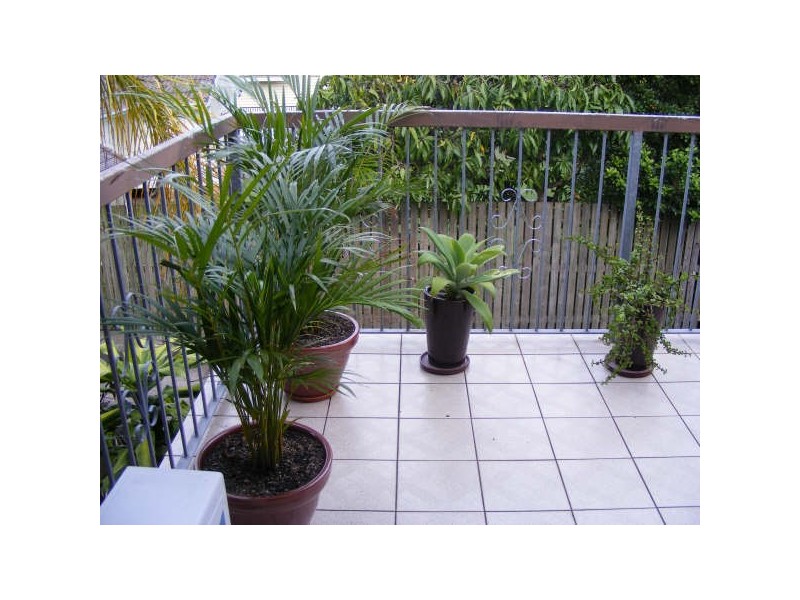 Carina Heights QLD 4152