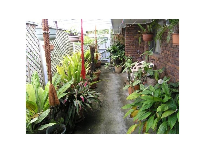 Carina Heights QLD 4152