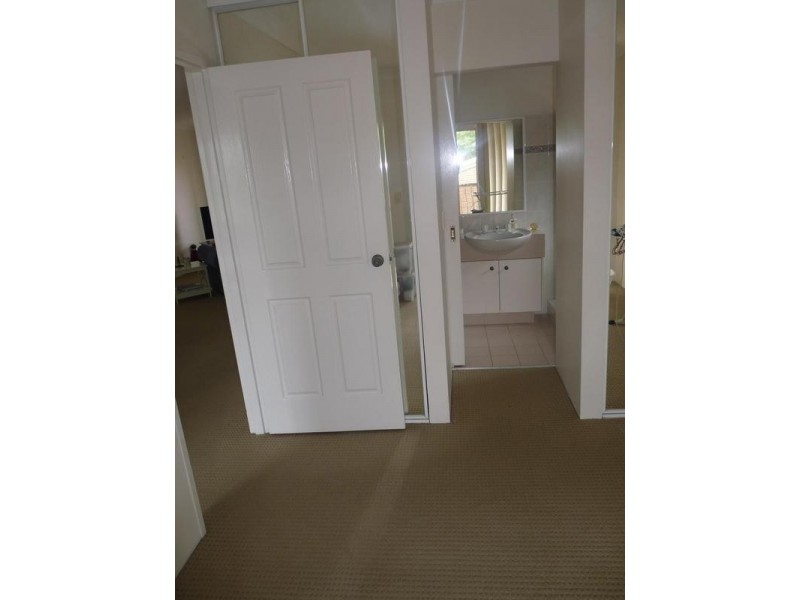 5/60 Belgrave Street, Balmoral QLD 4171