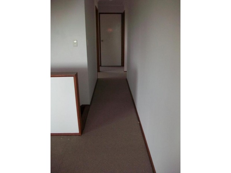 36 Richmond Road, Morningside QLD 4170