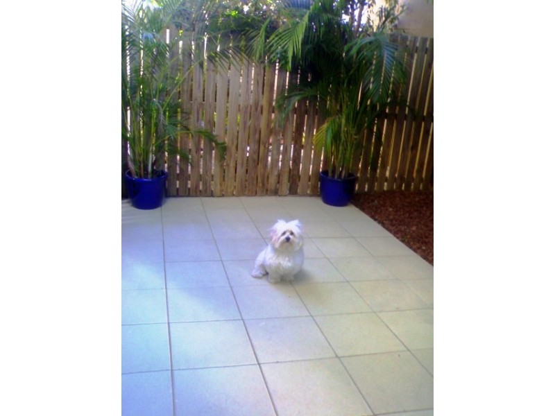 3/15 Worden street, Morningside QLD 4170