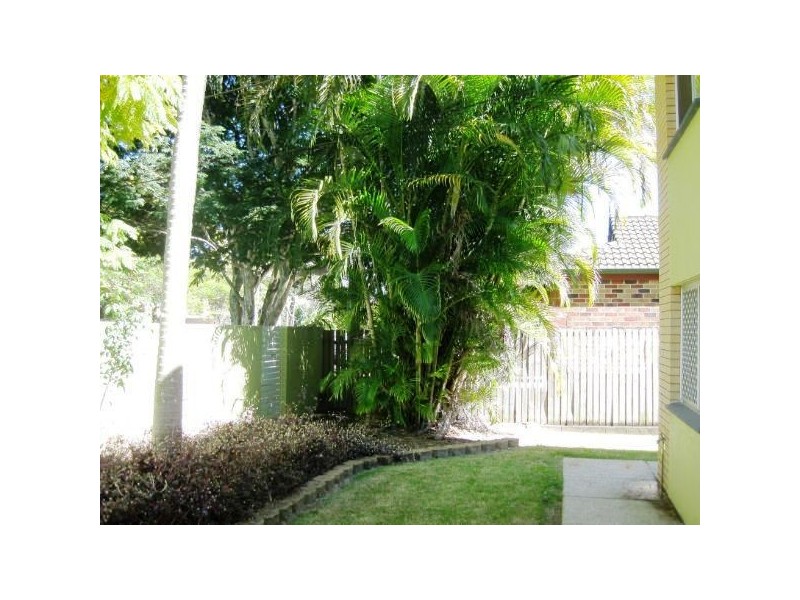 7 Malcolm Street, Hawthorne QLD 4171
