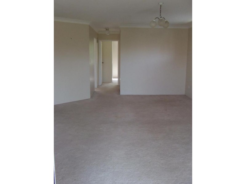 3/60 Belgrave Street, Balmoral QLD 4171