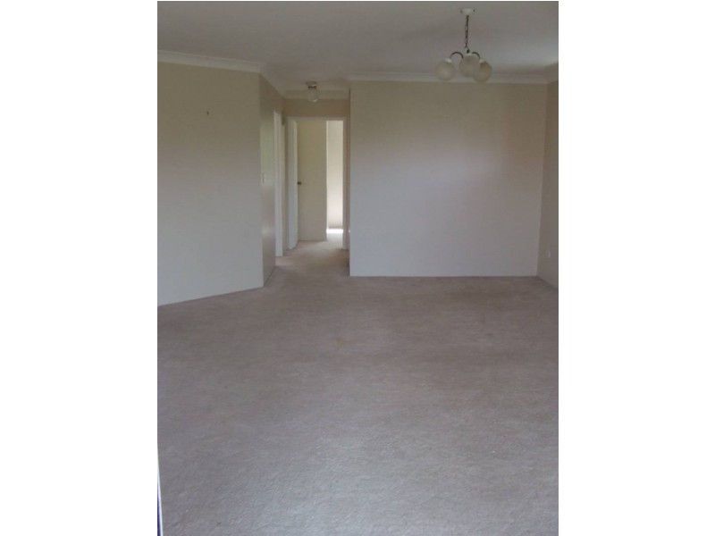 6/60 Belgrave Street, Balmoral QLD 4171