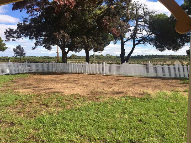 5 Diagonal Road, Tanunda SA 5352